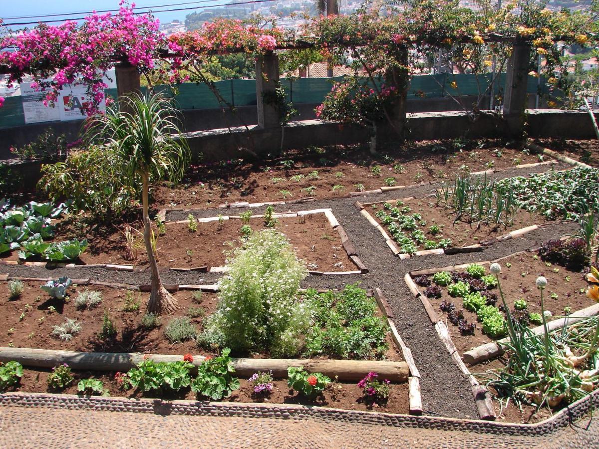 Appartement Quinta Do Bom Sucesso à Funchal  Extérieur photo