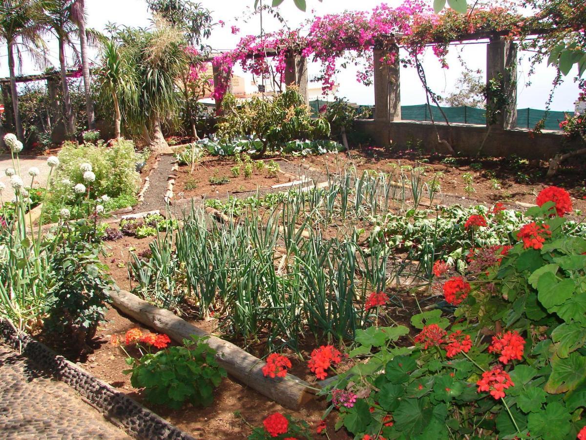 Appartement Quinta Do Bom Sucesso à Funchal  Extérieur photo